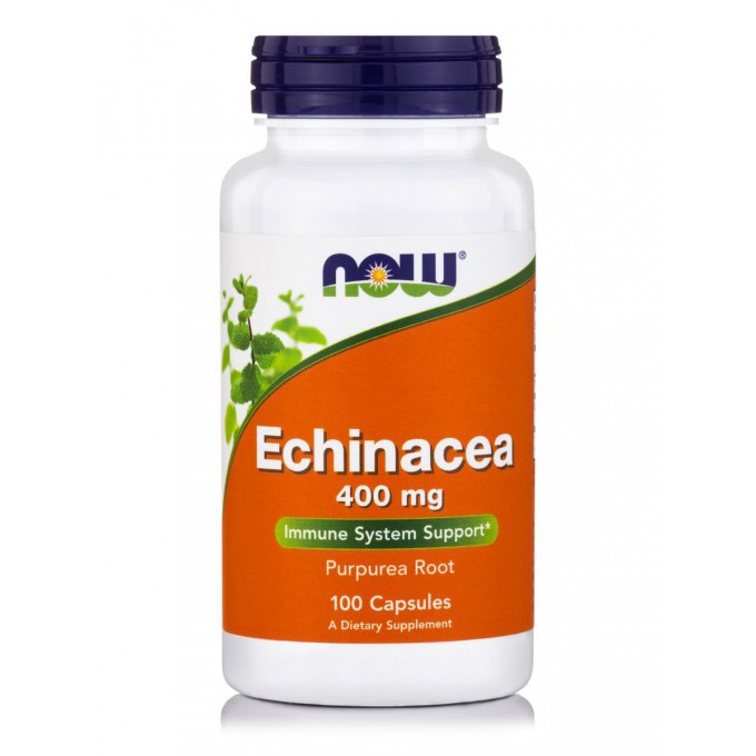 Now Foods Echinacea Root 400mg 100 φυτικές κάψουλες