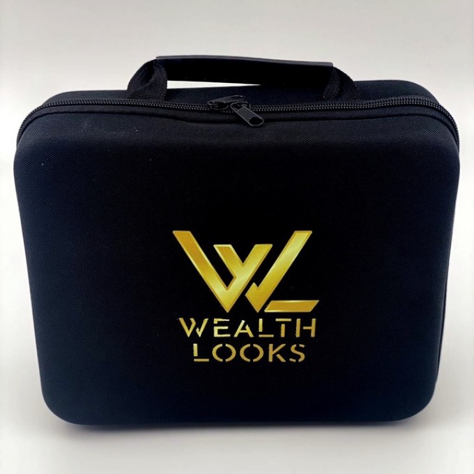 Wealth Looks Massage Gun (Black)