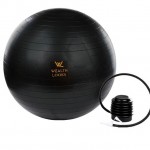 Wealth Looks Yoga ball with pump 65cm 1000g