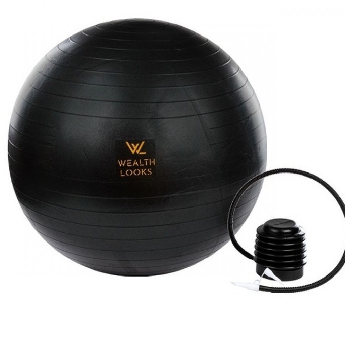 Wealth Looks Yoga ball with pump 65cm 1000g