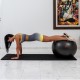 Wealth Looks Yoga ball with pump 65cm 1000g
